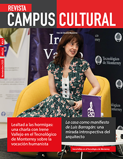 dcc 163 portada Irene vallejo